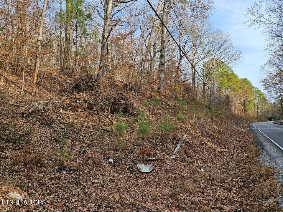 Lot 7 Smyrna Road Evensville TN 37332