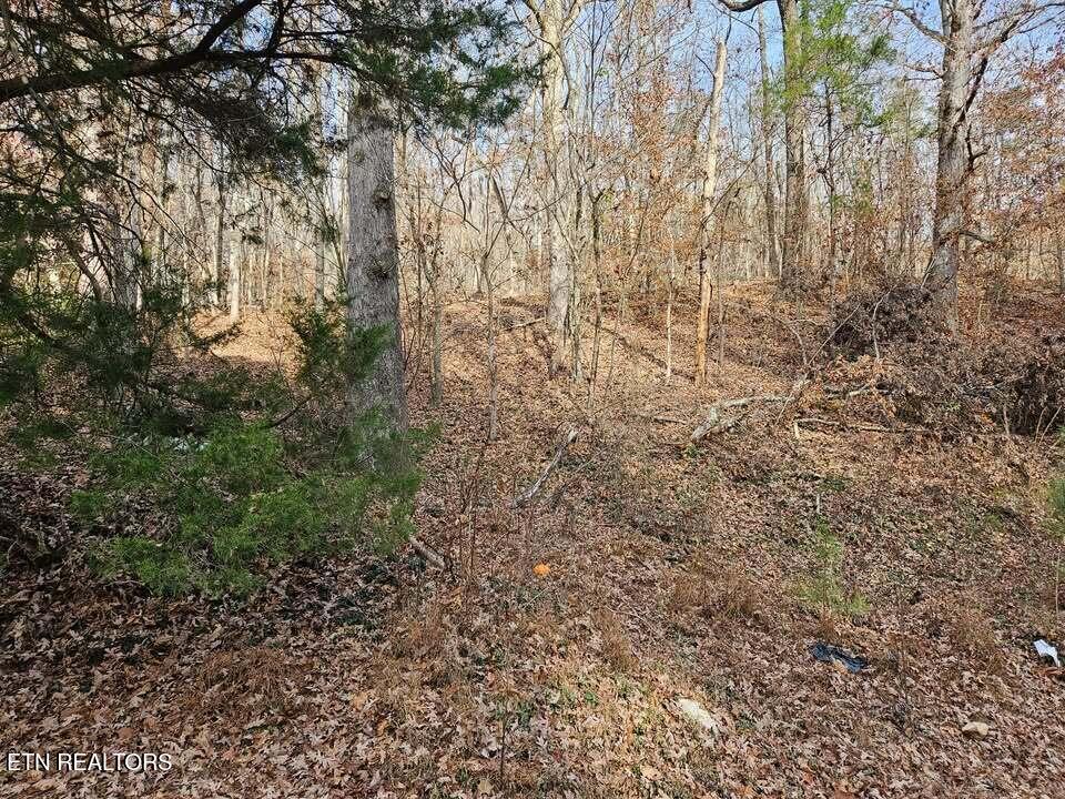 Lot 7 Smyrna Road Evensville TN 37332