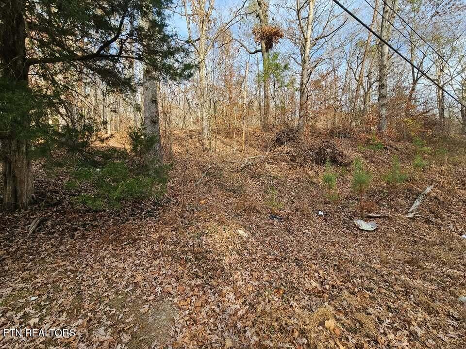 Lot 7 Smyrna Road Evensville TN 37332