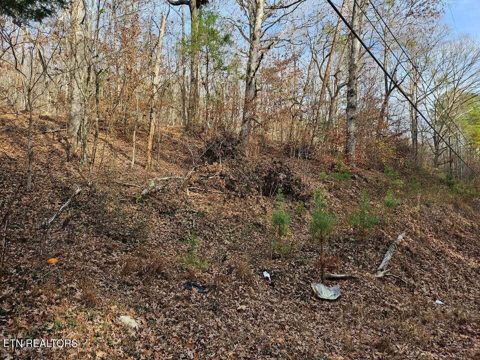 Lot 7 Smyrna Road Evensville TN 37332