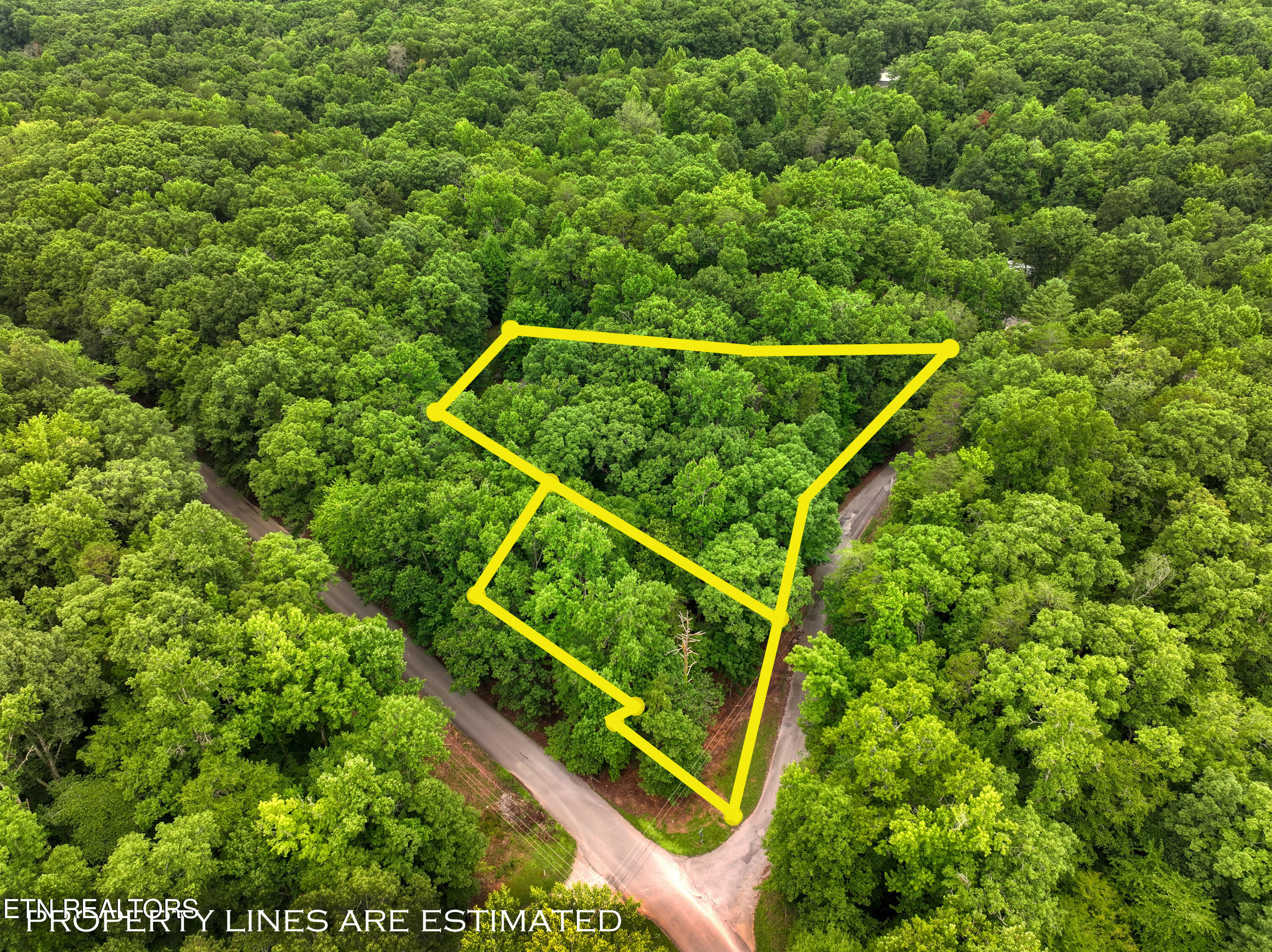 Lake Overlook Drive Rockwood TN 37854