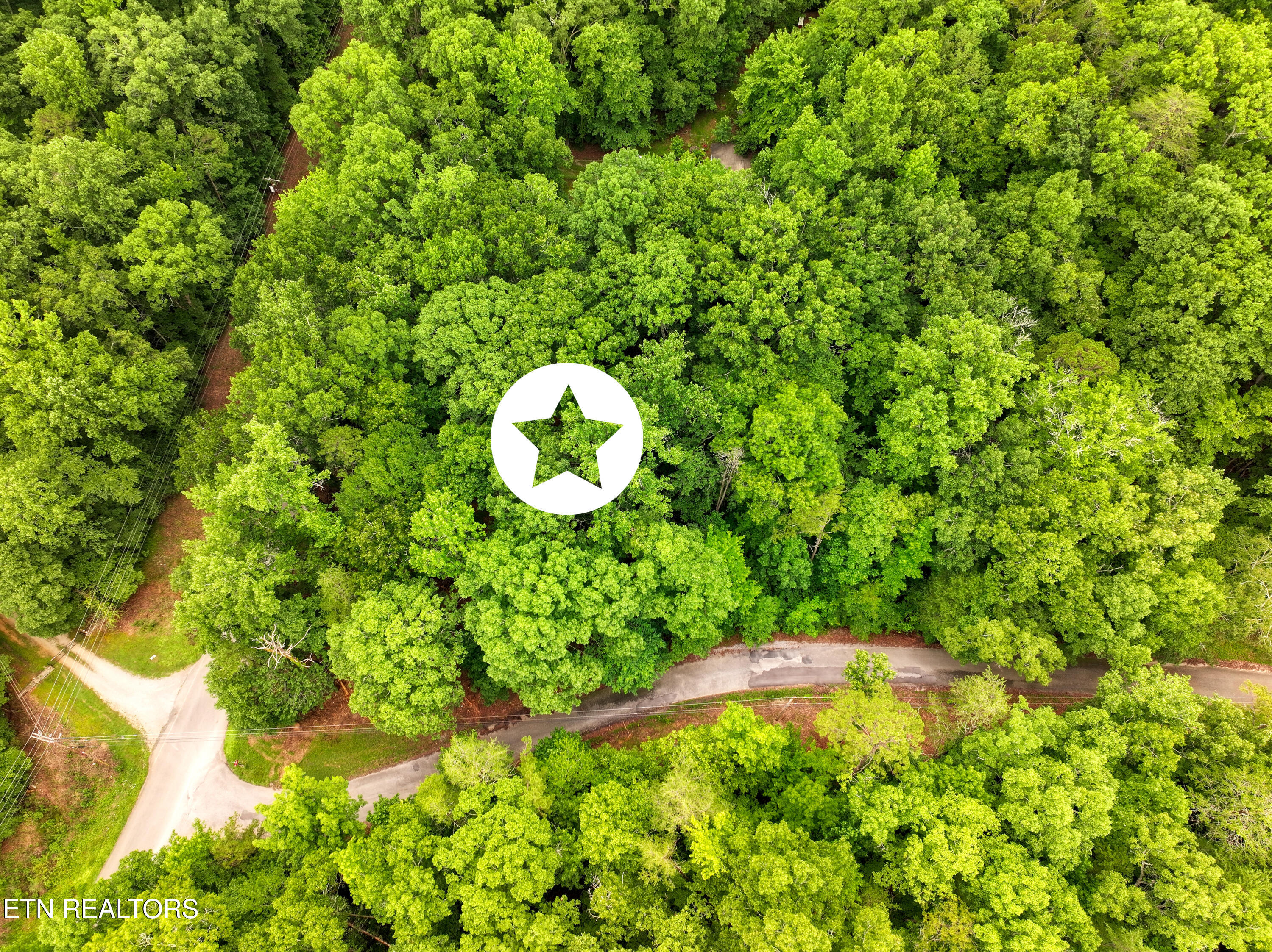 Lake Overlook Drive Rockwood TN 37854