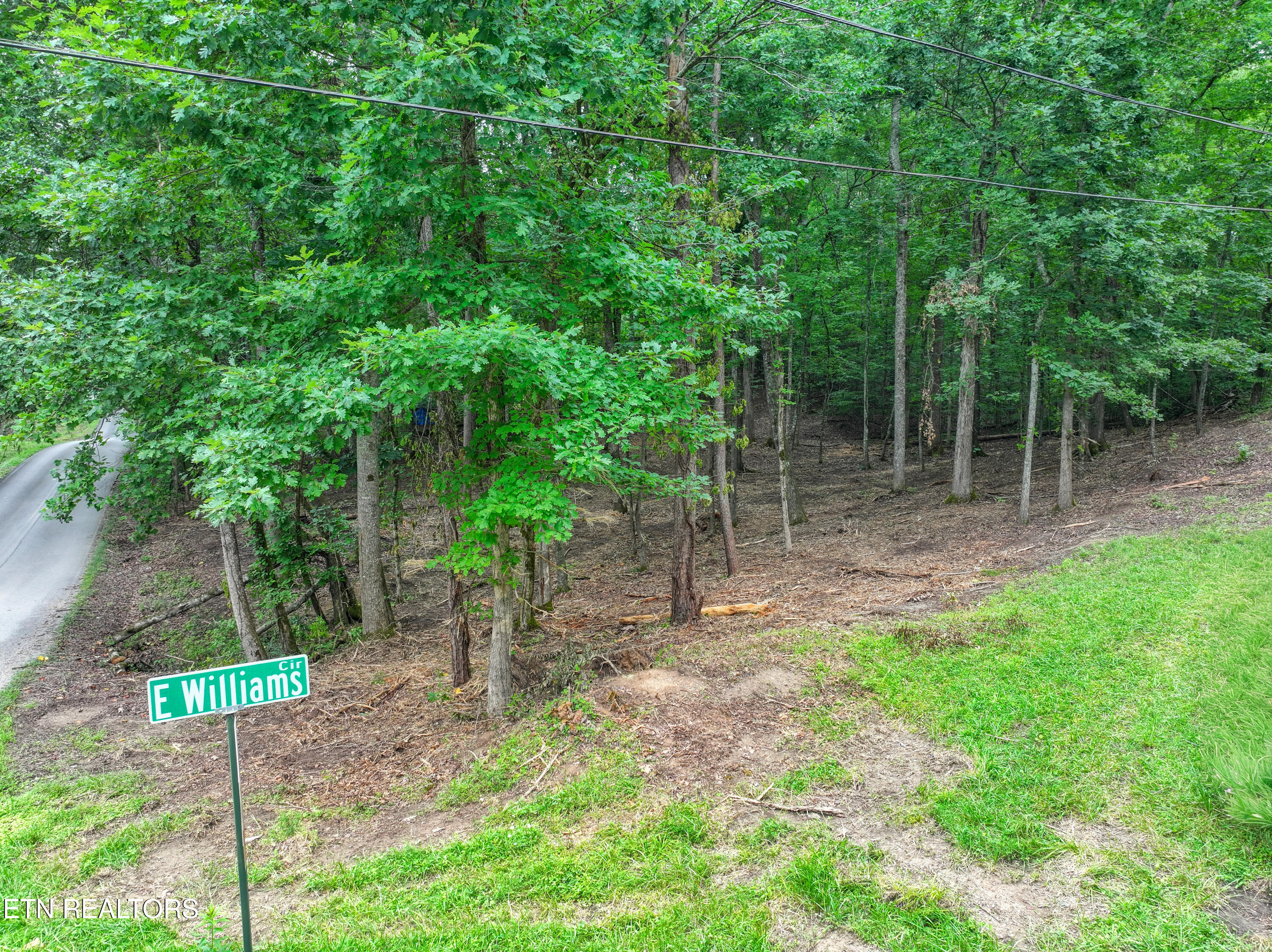 Lake Overlook Drive Rockwood TN 37854