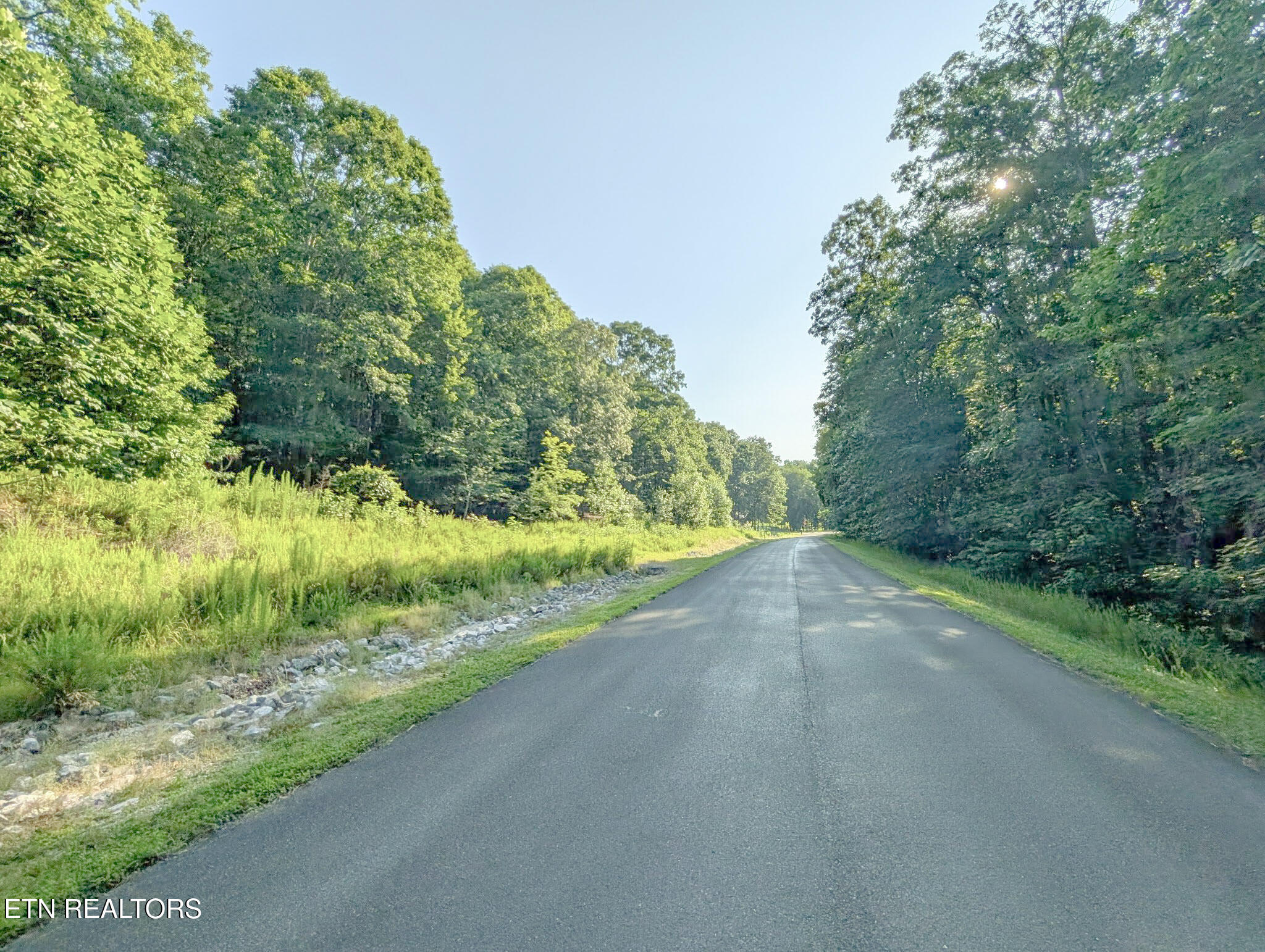 Emerald Pointe - Lot 7 Rockwood TN 37854