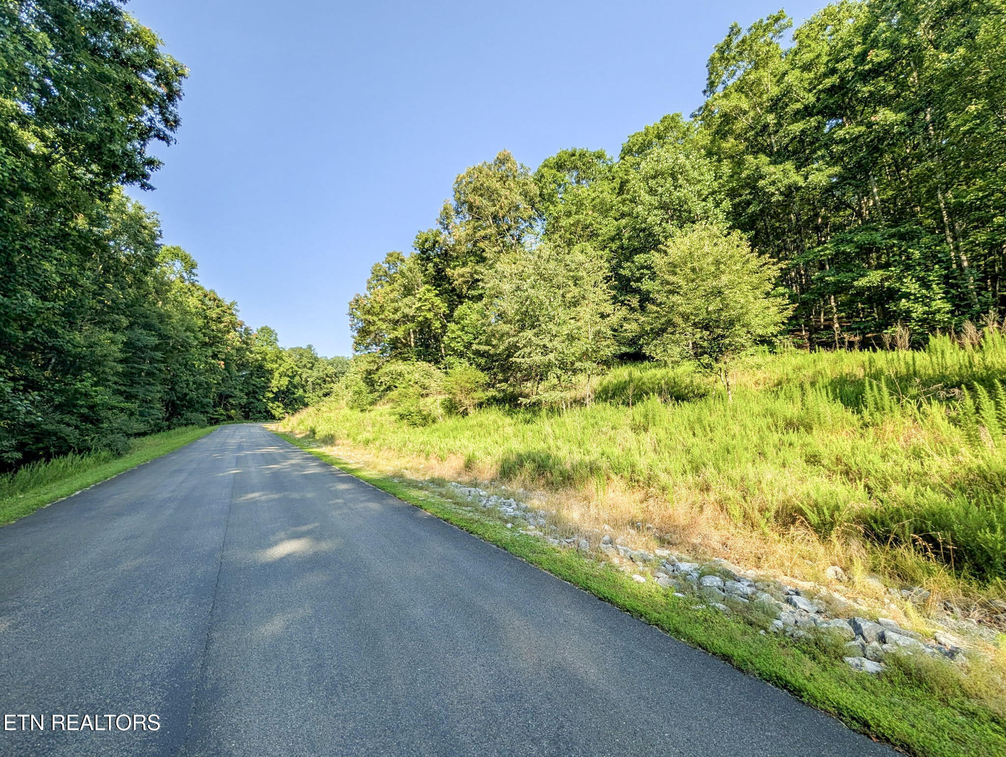 Emerald Pointe - Lot 7 Rockwood TN 37854