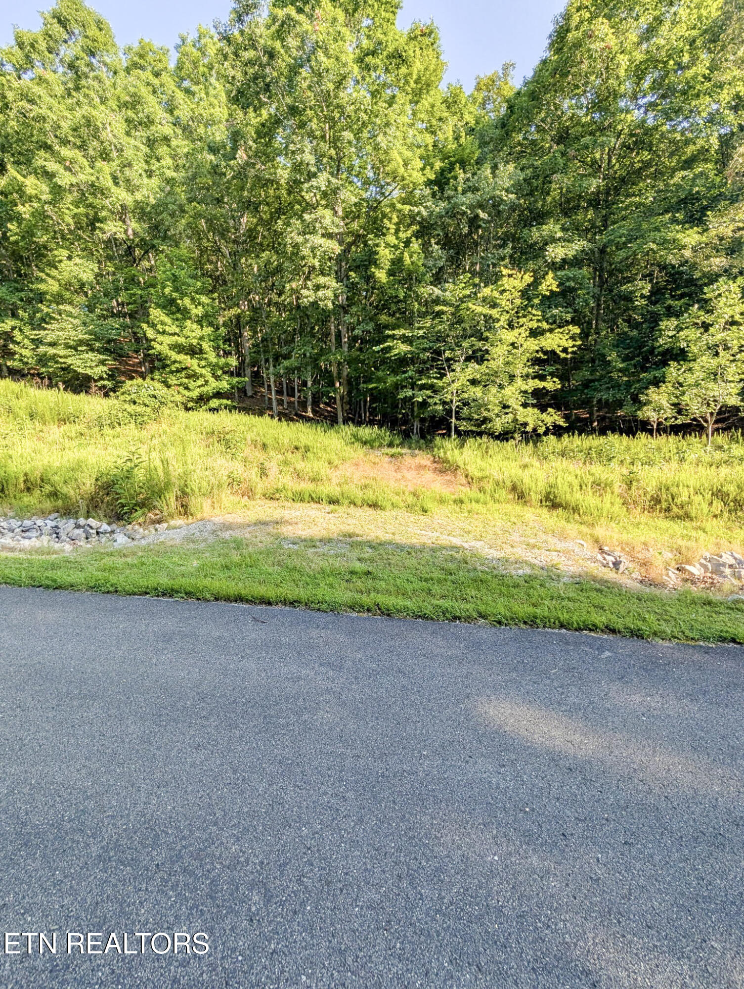 Emerald Pointe - Lot 7 Rockwood TN 37854