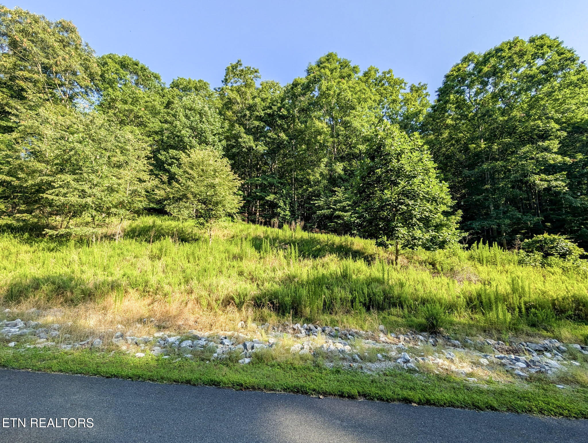 Emerald Pointe - Lot 7 Rockwood TN 37854