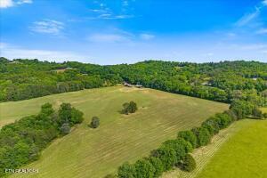 21+/- Acre County Road 675 Riceville TN 37370
