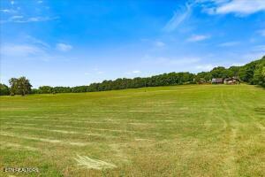 21+/- Acre County Road 675 Riceville TN 37370