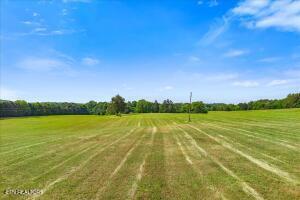 21+/- Acre County Road 675 Riceville TN 37370