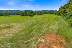 21+/- Acre County Road 675 Riceville TN 37370