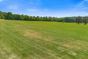 21+/- Acre County Road 675 Riceville TN 37370