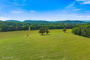 21+/- Acre County Road 675 Riceville TN 37370
