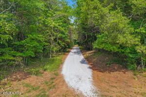 21+/- Acre County Road 675 Riceville TN 37370