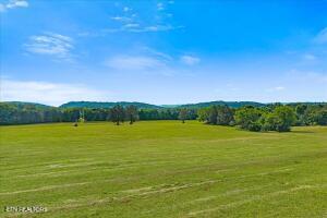 21+/- Acre County Road 675 Riceville TN 37370