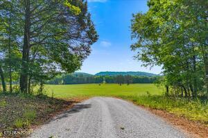 21+/- Acre County Road 675 Riceville TN 37370