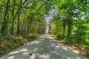 21+/- Acre County Road 675 Riceville TN 37370