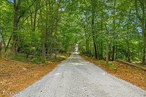 21+/- Acre County Road 675 Riceville TN 37370