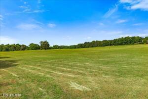 21+/- Acre County Road 675 Riceville TN 37370