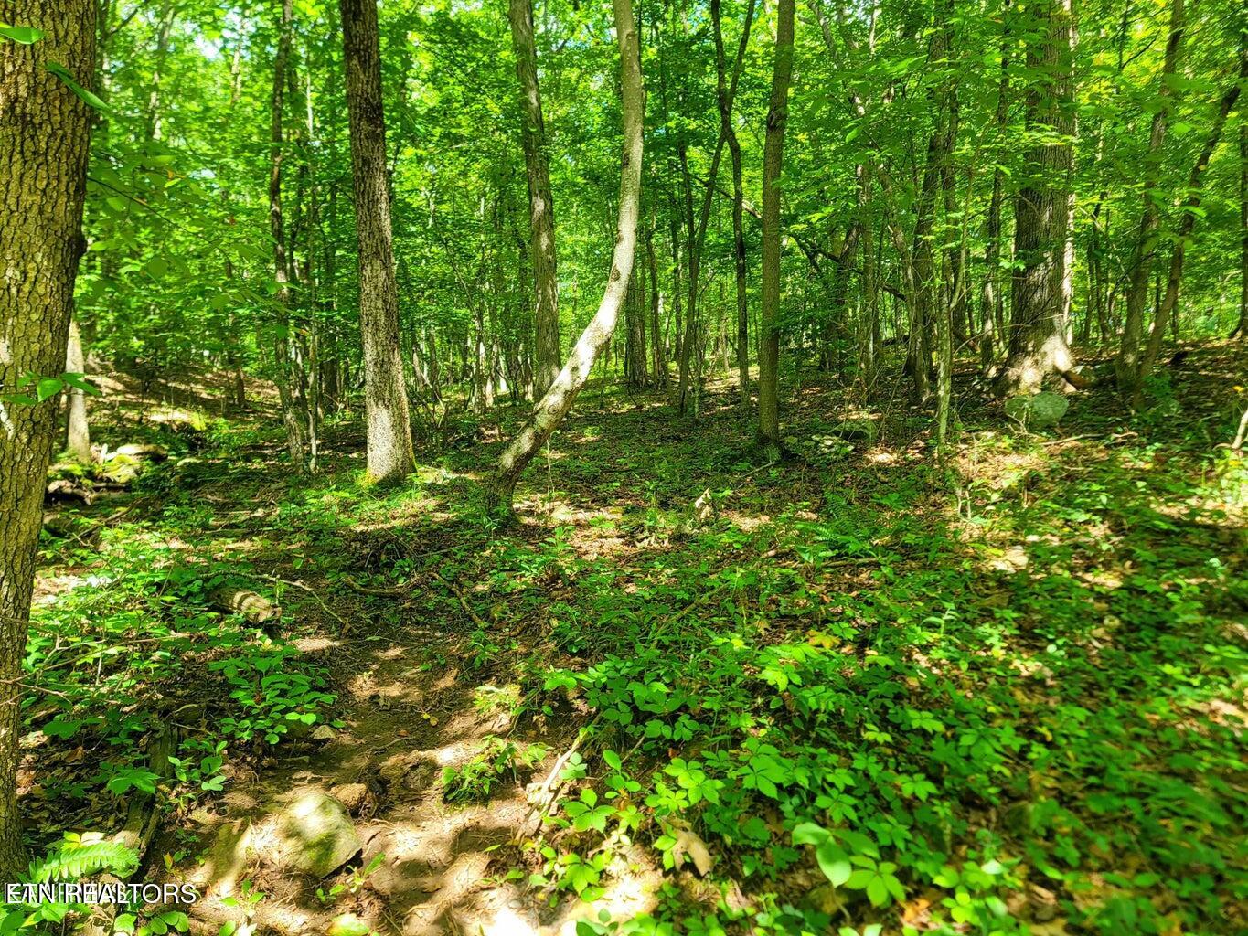 161 Sugarbush Circle Crossville TN 38558