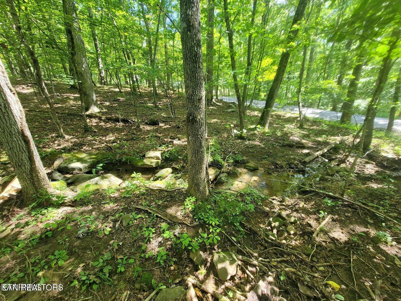 161 Sugarbush Circle Crossville TN 38558