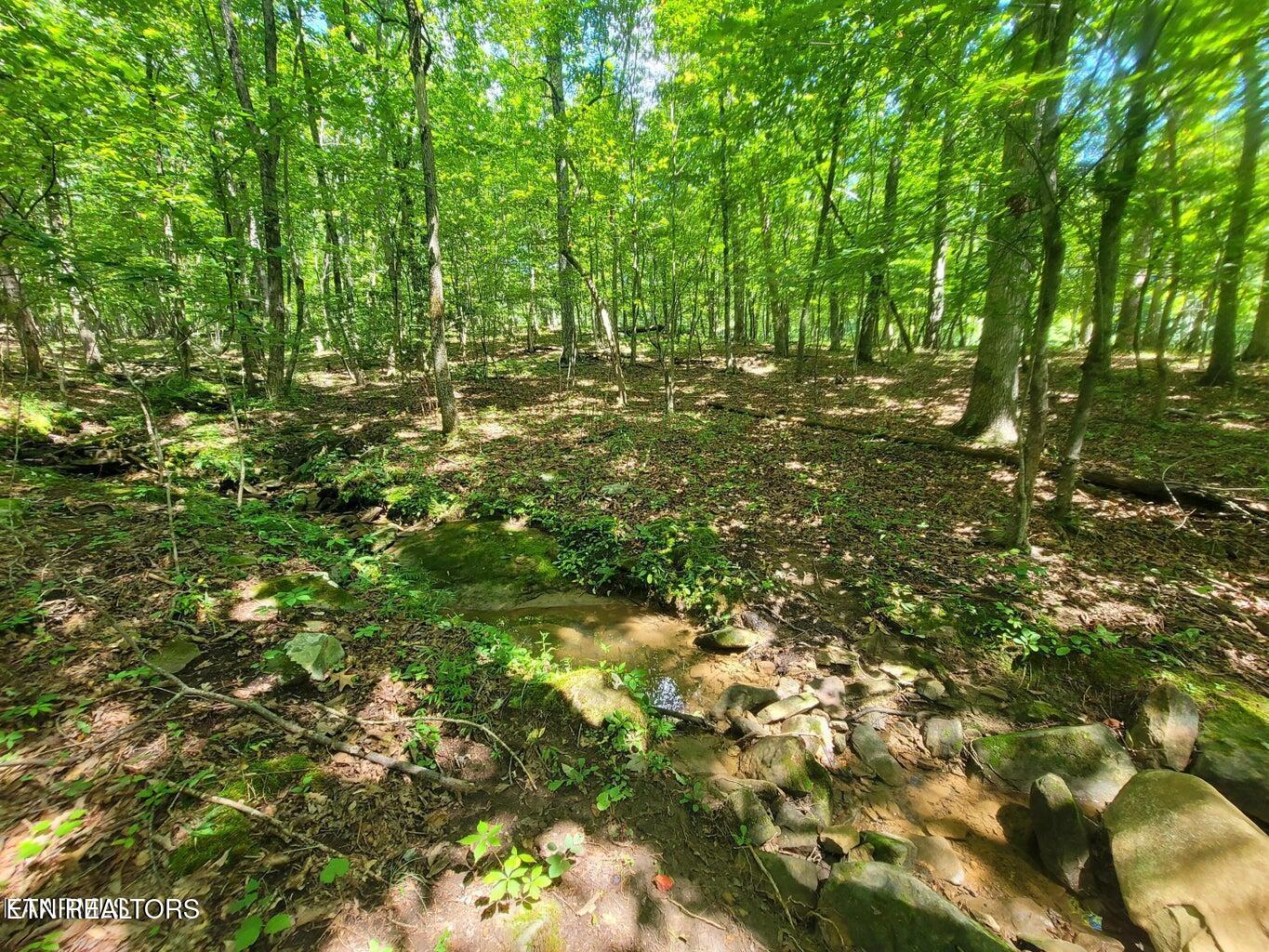 161 Sugarbush Circle Crossville TN 38558