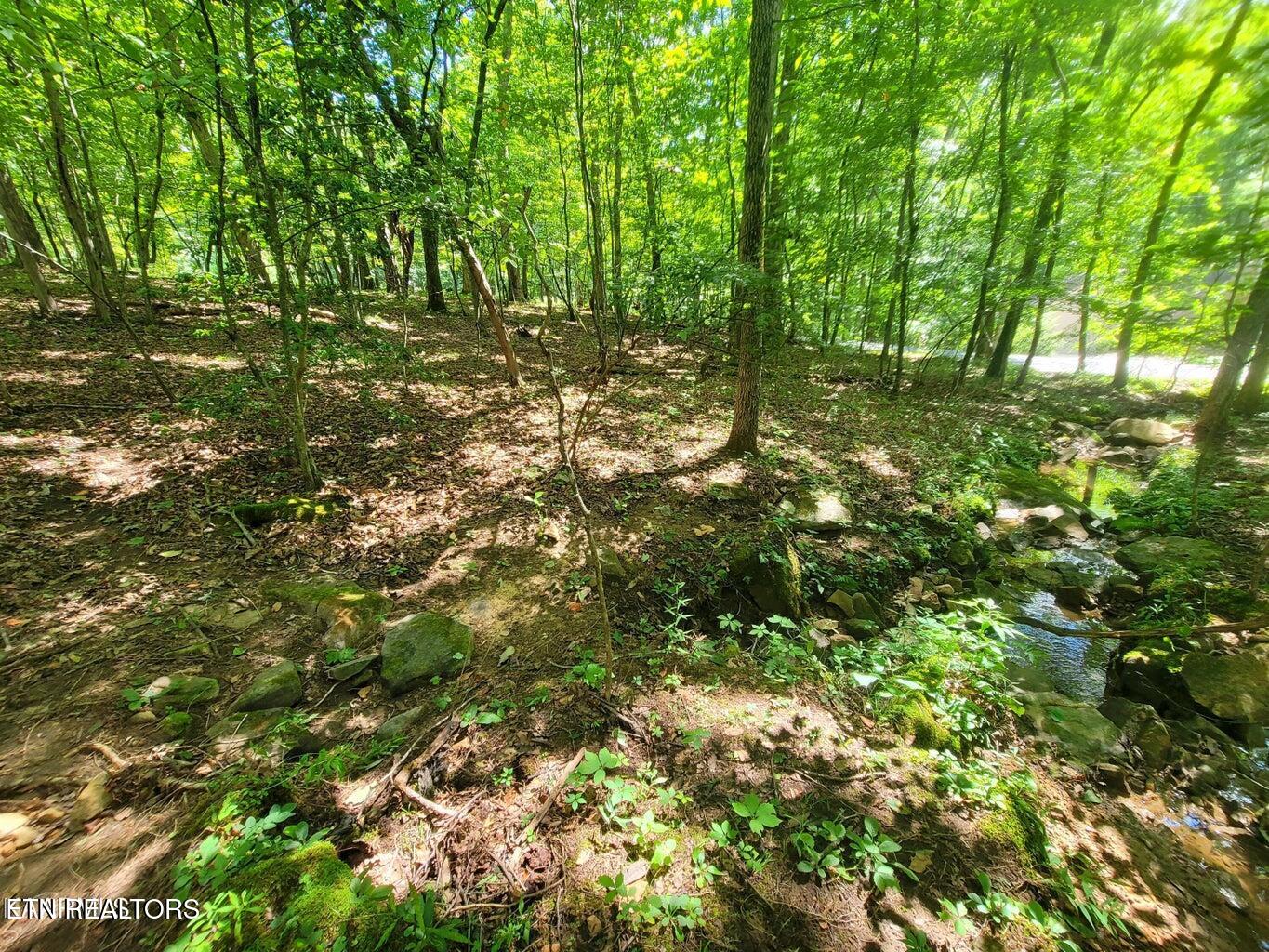 161 Sugarbush Circle Crossville TN 38558