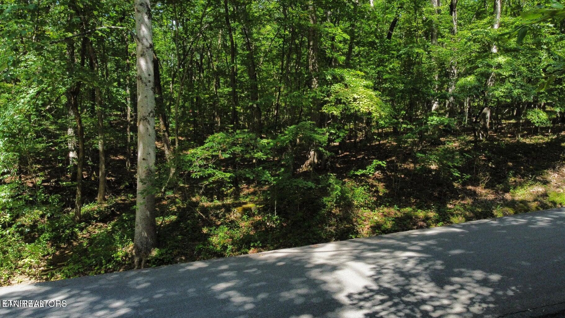 161 Sugarbush Circle Crossville TN 38558
