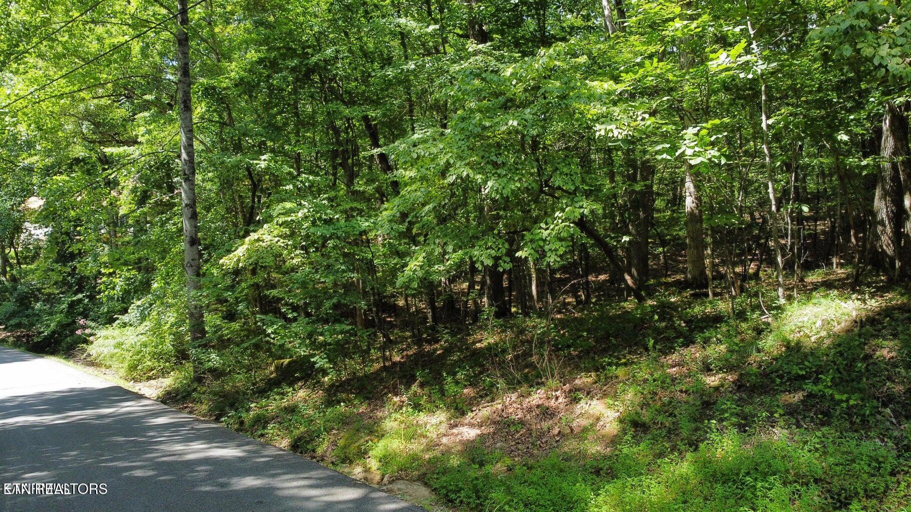 161 Sugarbush Circle Crossville TN 38558