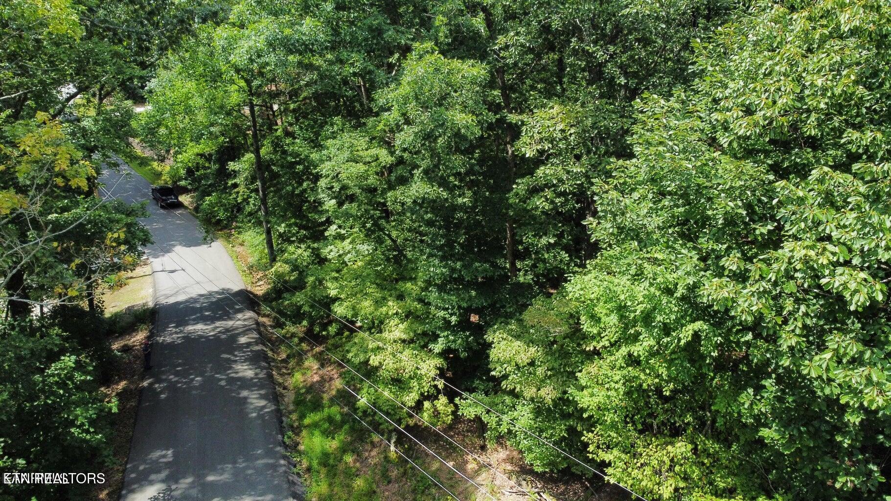161 Sugarbush Circle Crossville TN 38558
