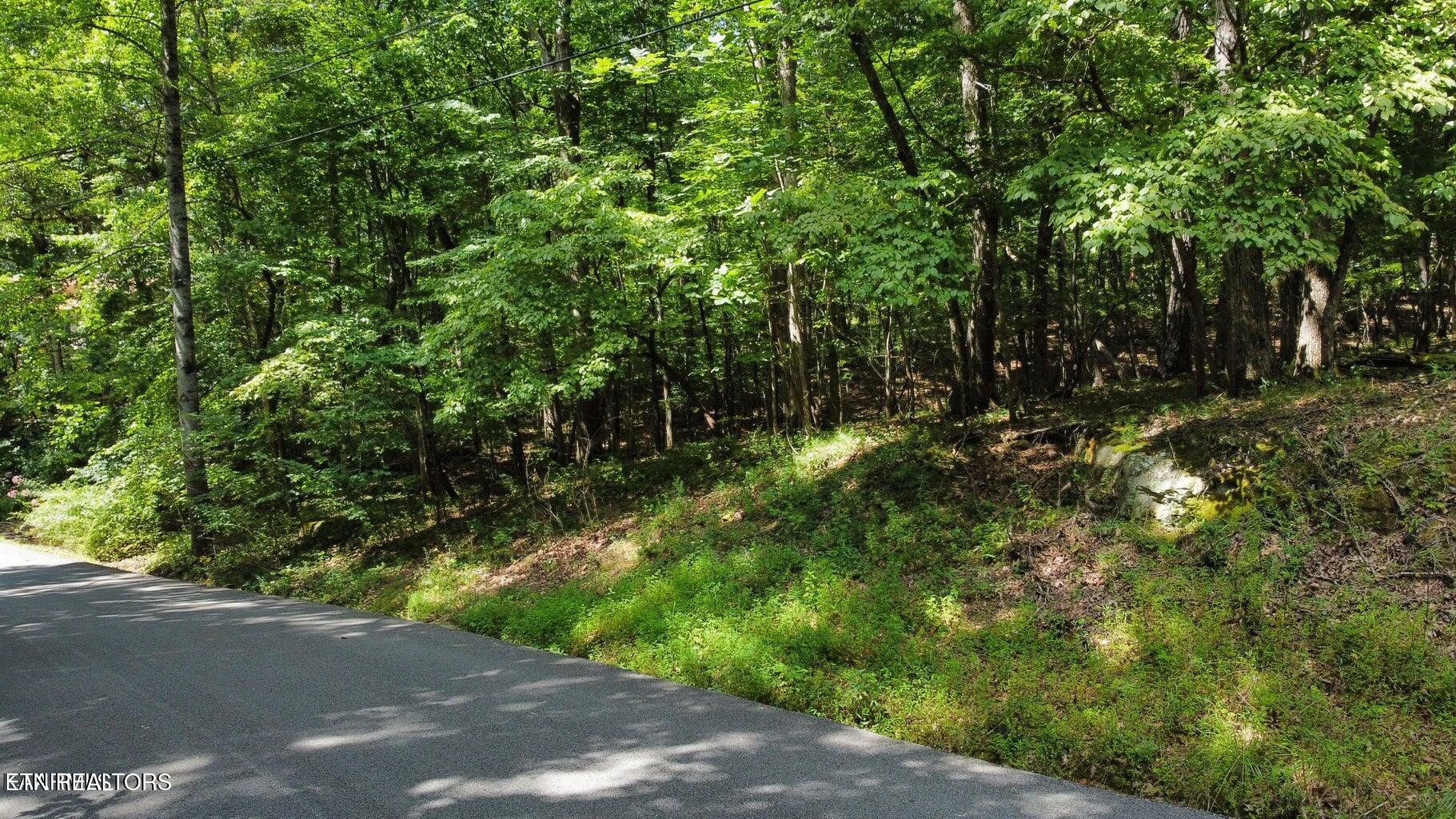 161 Sugarbush Circle Crossville TN 38558