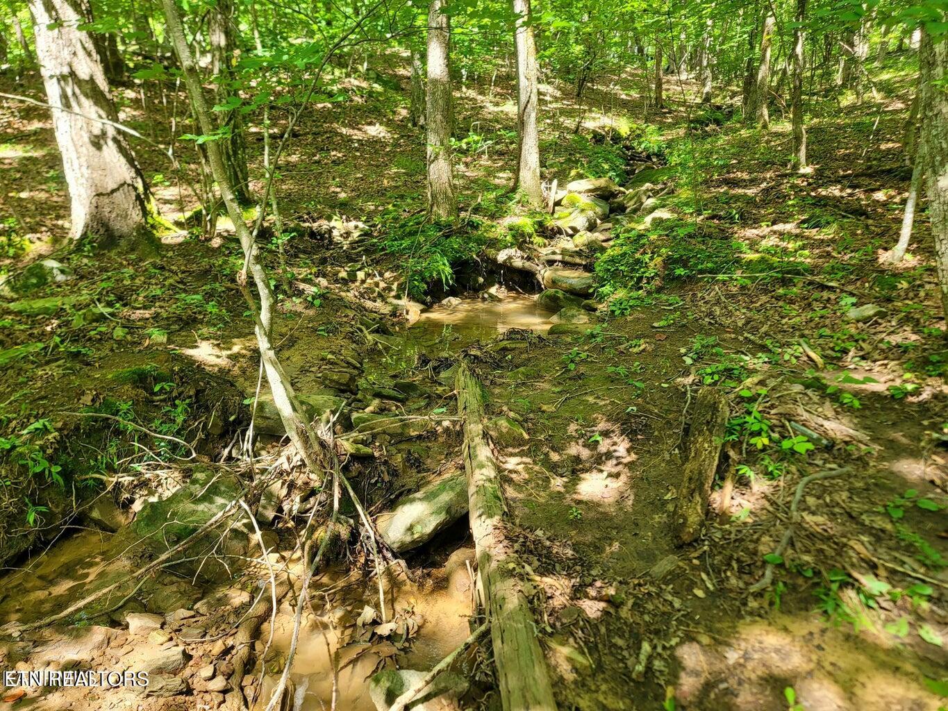 161 Sugarbush Circle Crossville TN 38558