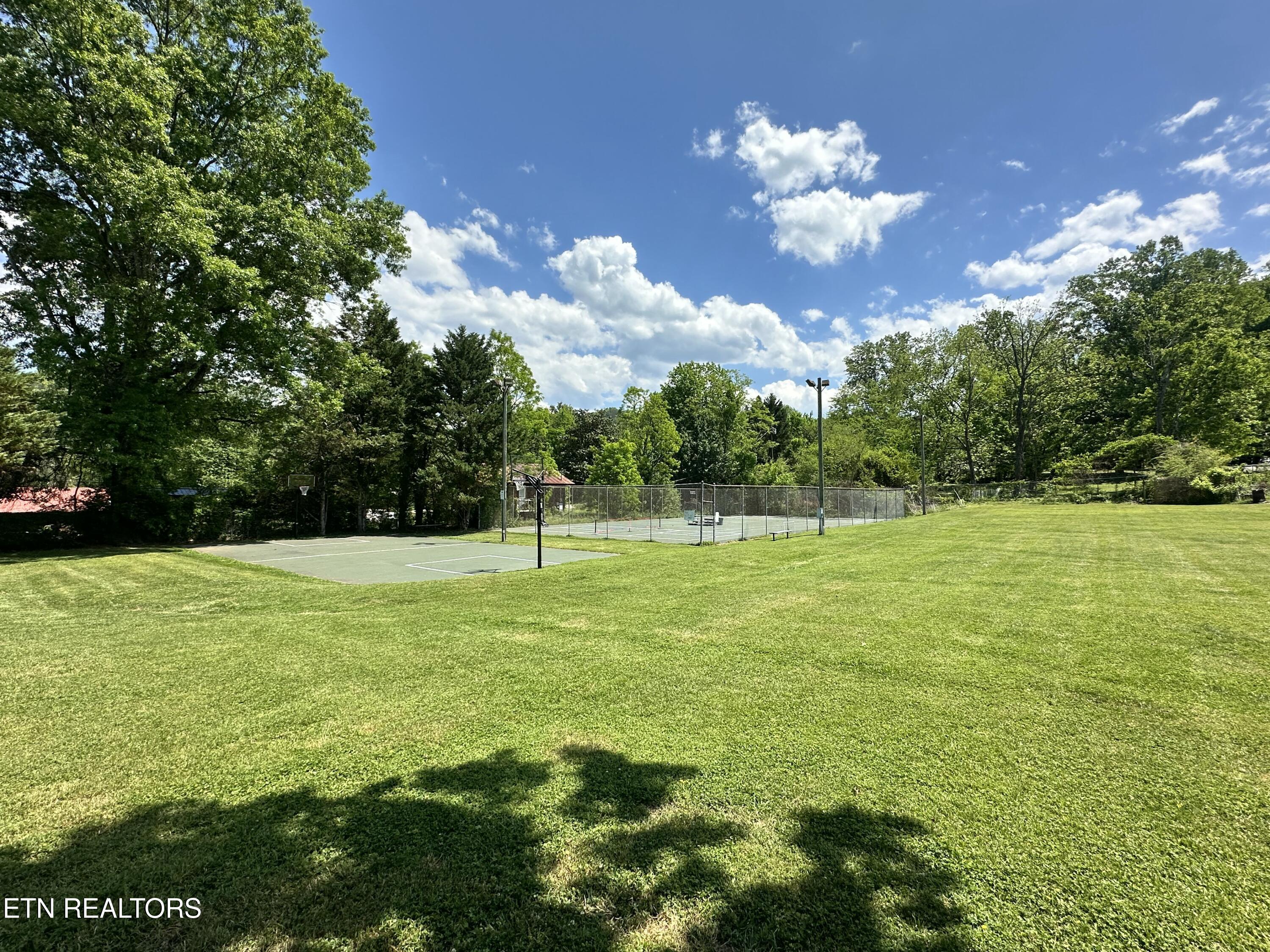 Lot 196 Highway 73 Townsend TN 37882