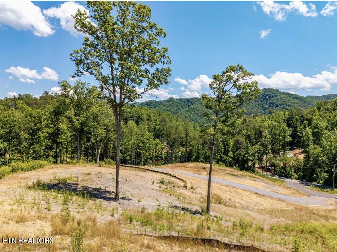 Lot 6 Waldens Creek Road Sevierville TN 37862