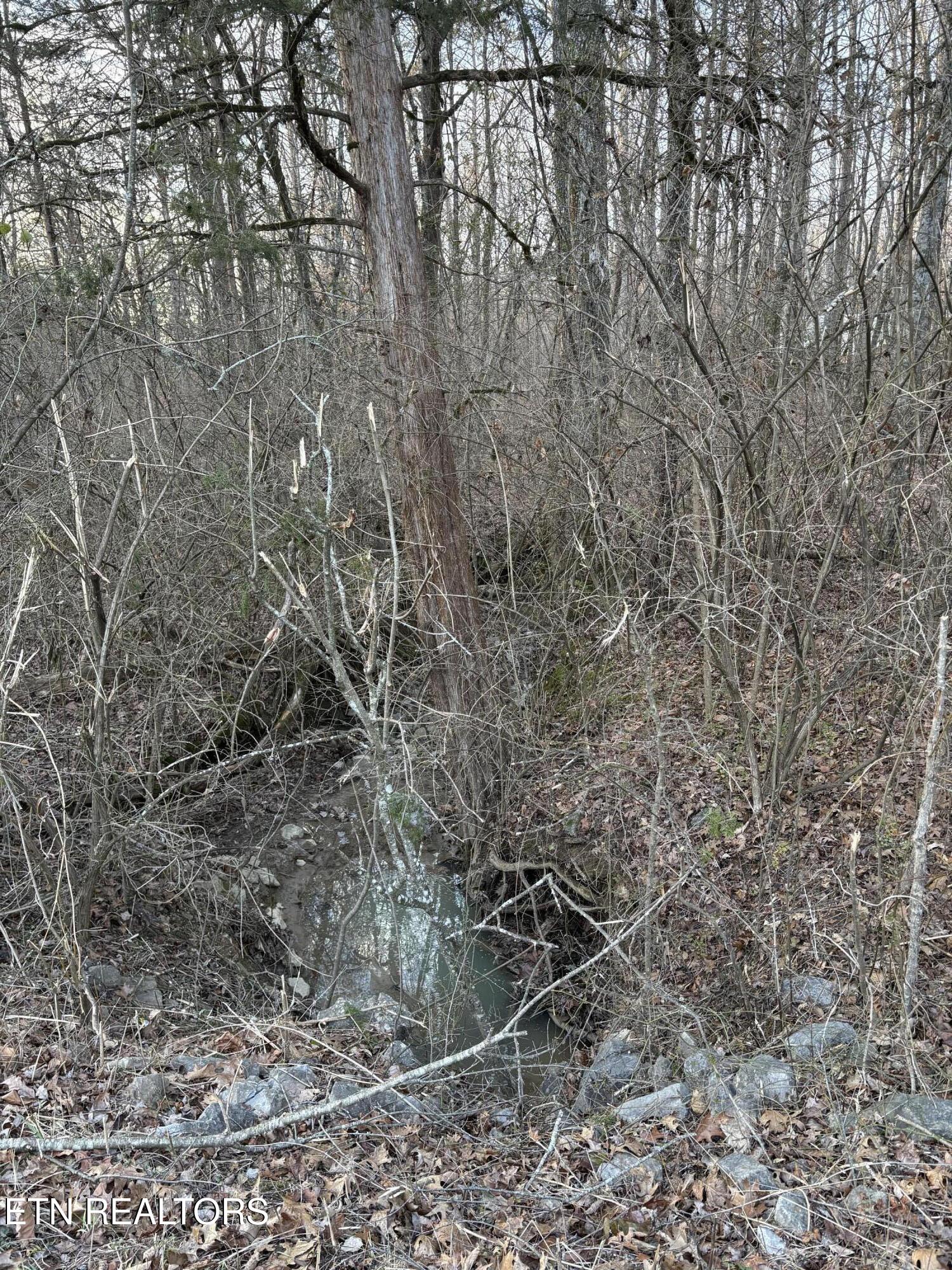 8188 E Town Creek Road Lenoir City TN 37772