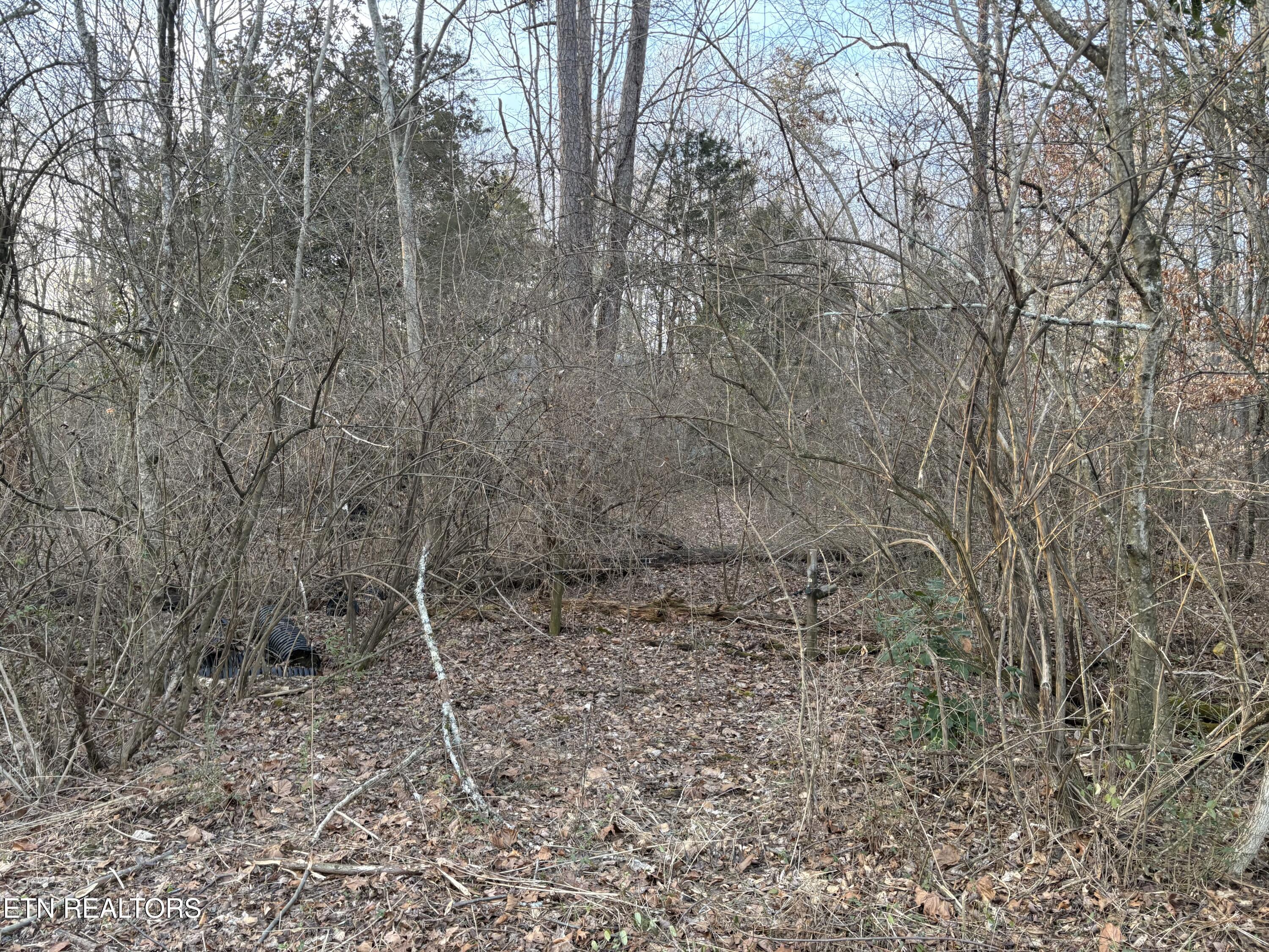 8188 E Town Creek Road Lenoir City TN 37772