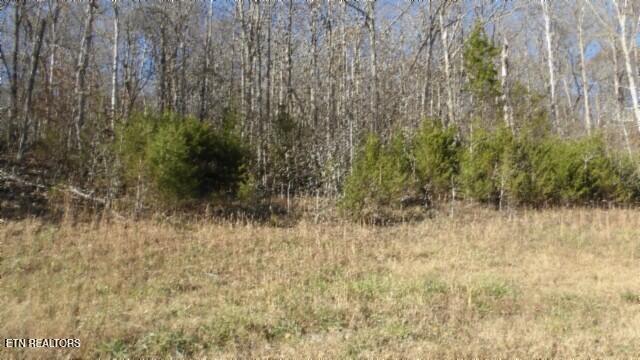 Lot 46 Cheyenne Drive Jamestown TN 38556