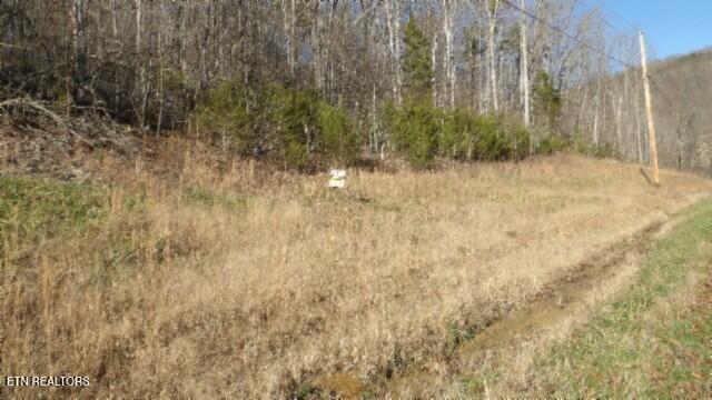 Lot 46 Cheyenne Drive Jamestown TN 38556