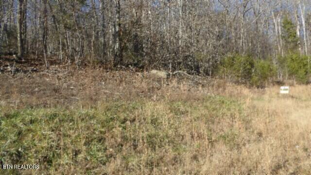 Lot 46 Cheyenne Drive Jamestown TN 38556