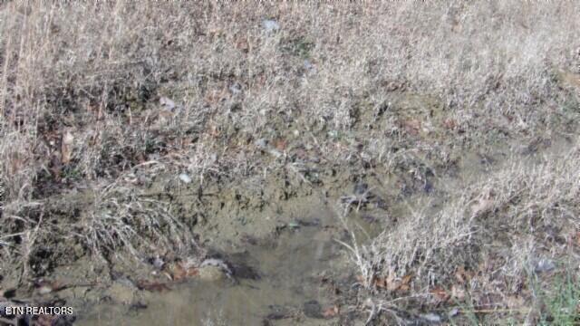 Lot 46 Cheyenne Drive Jamestown TN 38556