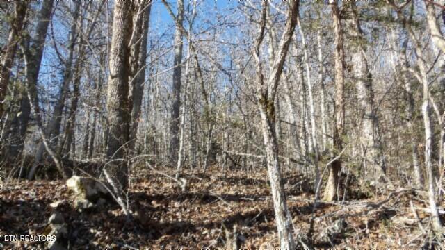 Lot 46 Cheyenne Drive Jamestown TN 38556