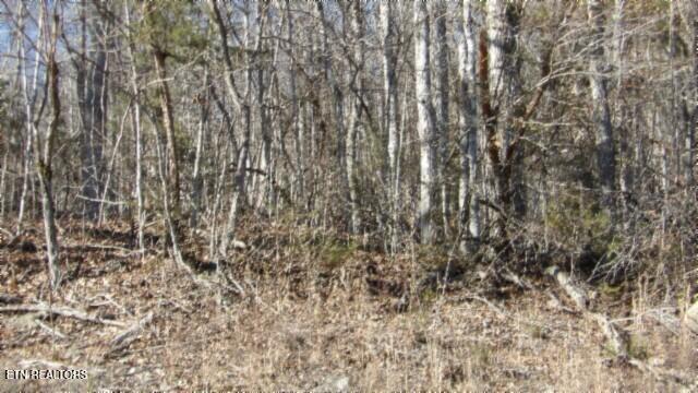 Lot 46 Cheyenne Drive Jamestown TN 38556