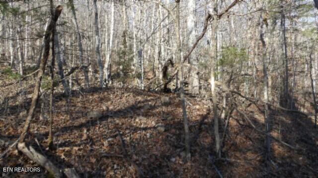 Lot 46 Cheyenne Drive Jamestown TN 38556