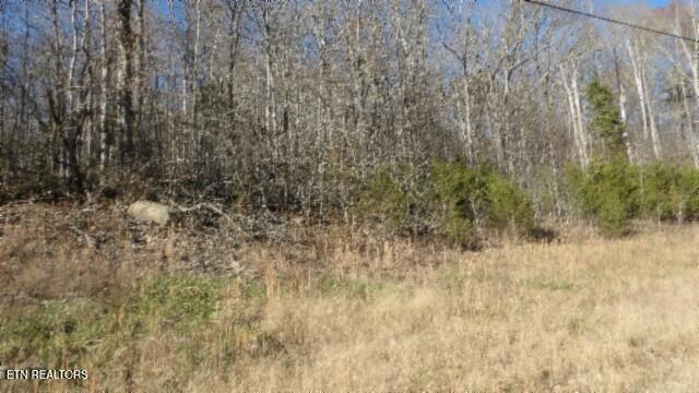 Lot 46 Cheyenne Drive Jamestown TN 38556