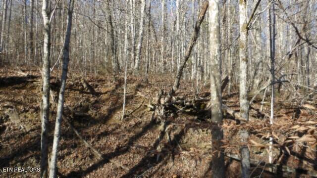 Lot 46 Cheyenne Drive Jamestown TN 38556