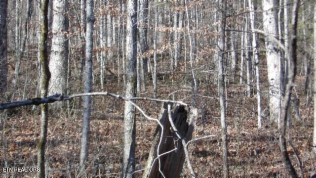 Lot 46 Cheyenne Drive Jamestown TN 38556