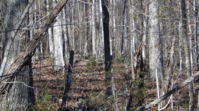 Lot 46 Cheyenne Drive Jamestown TN 38556