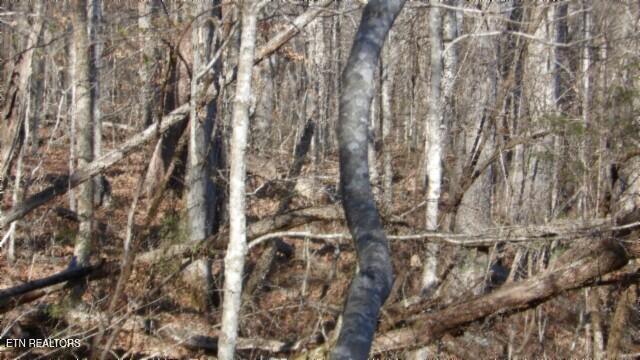 Lot 46 Cheyenne Drive Jamestown TN 38556