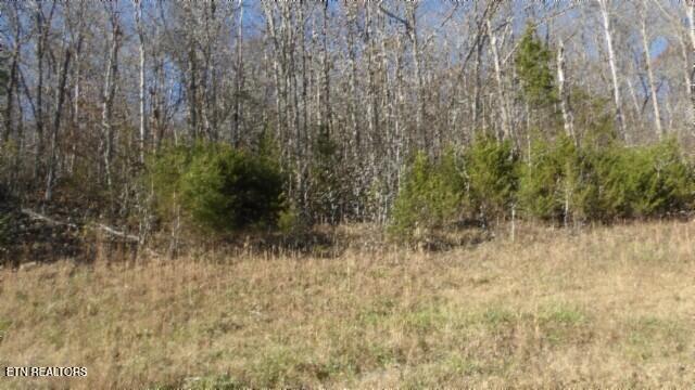 Lot 46 Cheyenne Drive Jamestown TN 38556