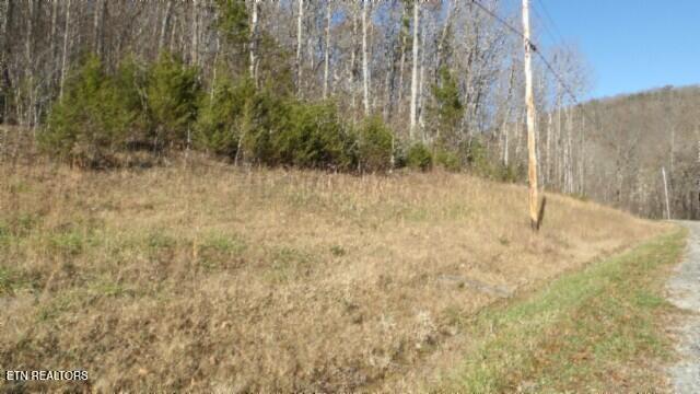 Lot 46 Cheyenne Drive Jamestown TN 38556